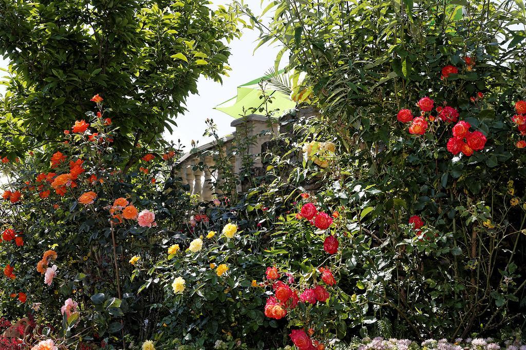 Hotel Garni Regina Gossweinstein Εξωτερικό φωτογραφία